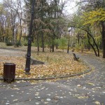 DSC06985