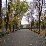 DSC07000