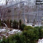 blog001