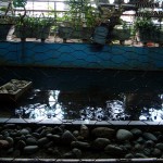 blog004