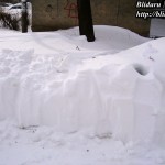 blog009