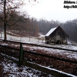blog010