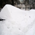 blog010