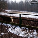 blog011