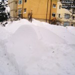 blog011