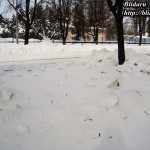 blog014