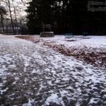 blog017