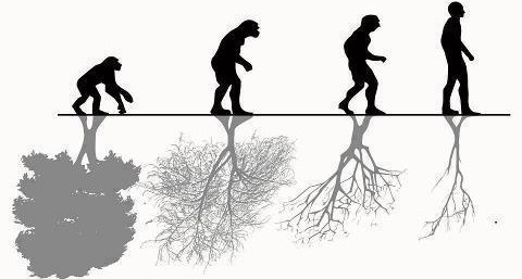 man vs nature