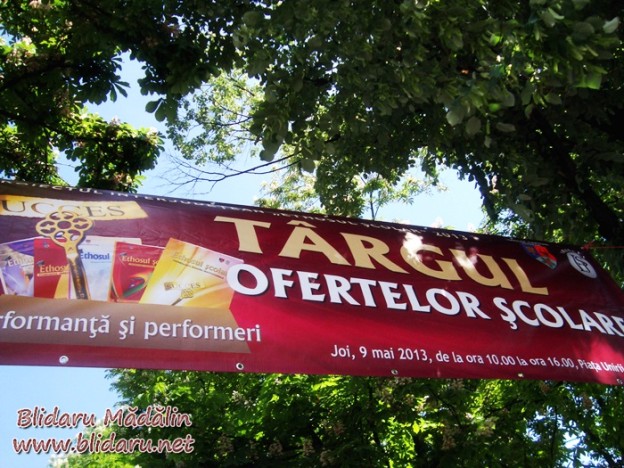 Targul Ofertelor Scolare 2013