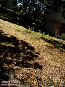 gunoi graffiti focsani