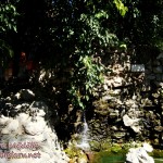 cascada dorintei focsani gradina publica