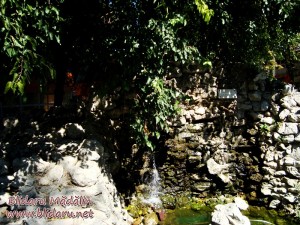 cascada dorintei focsani gradina publica