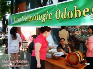 Liceul Tehnologic Odobesti