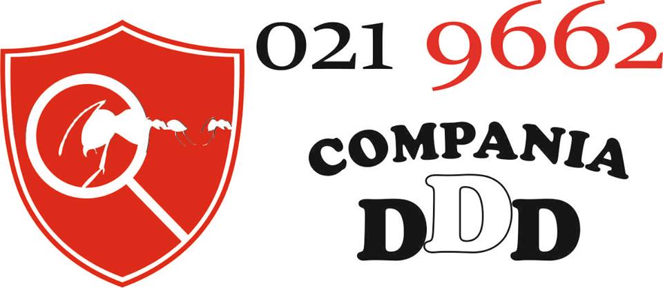 compania ddd